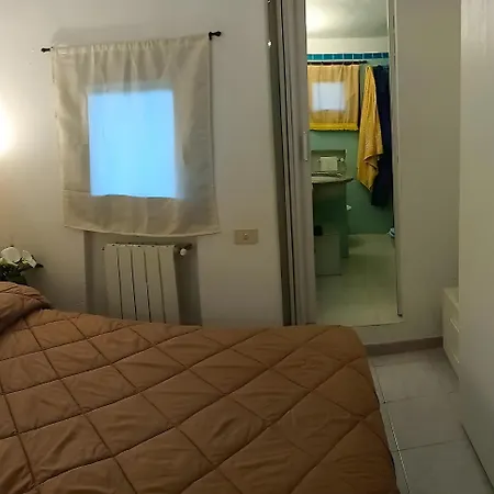Rosa Vila *