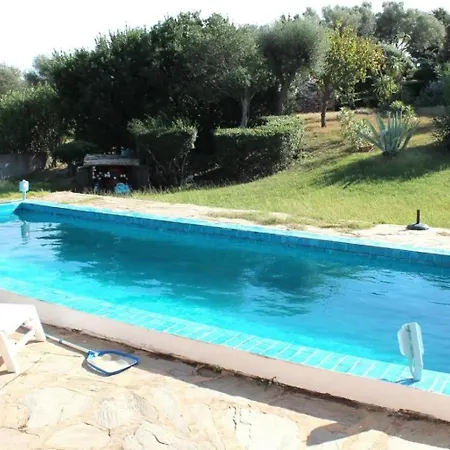 Rosa Vila